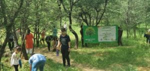 FMRI Plantation Device Aravali Hills 3