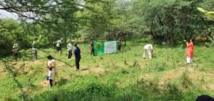 FMRI Plantation Drvice Aravali Hills
