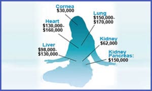 Organ harvesting_Falun Dafa